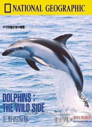 Dolphins: The Wild Side