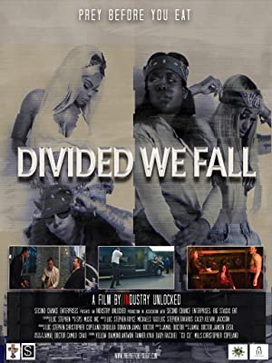 Divided We Fall